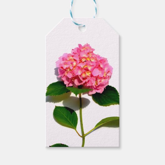 Roze hydrangea roze florroze bloem cadeaulabel (Voorkant)
