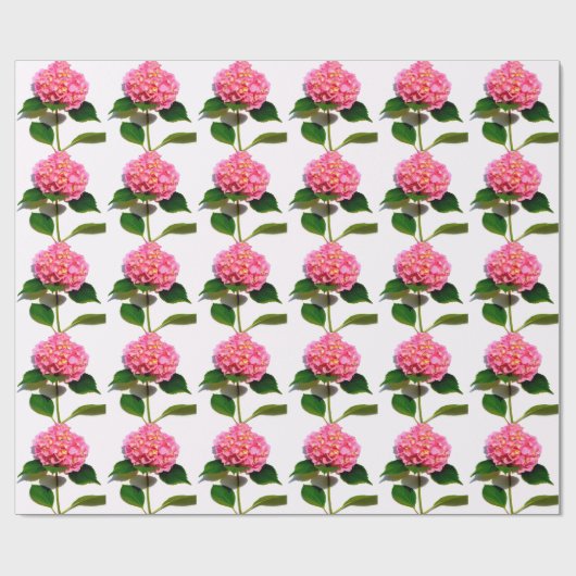 Roze hydrangea roze florroze bloem cadeaupapier (Vlak)