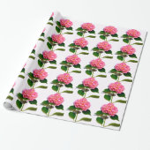 Roze hydrangea roze florroze bloem cadeaupapier (Uitgerold)