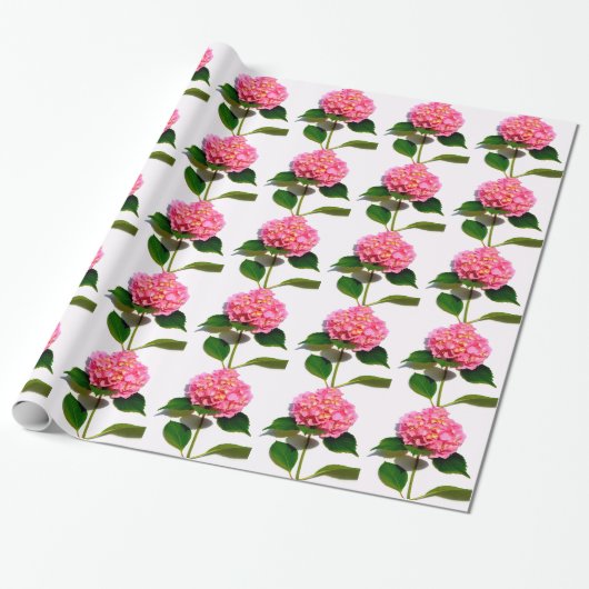 Roze hydrangea roze florroze bloem cadeaupapier (Uitgerold)