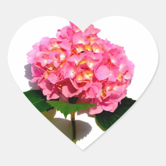 Roze hydrangea roze florroze bloem hart sticker (Voorkant)