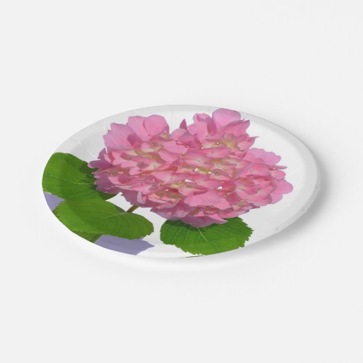 Roze hydrangea roze florroze bloem papieren bordje (Gekanteld)