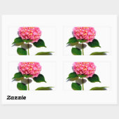 Roze hydrangea roze florroze bloem rechthoekige sticker (Vel)