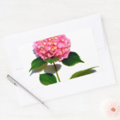 Roze hydrangea roze florroze bloem rechthoekige sticker (Envelop)