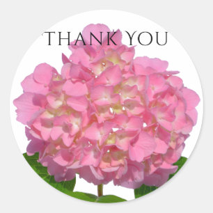 Roze hydrangea roze florroze bloem ronde sticker