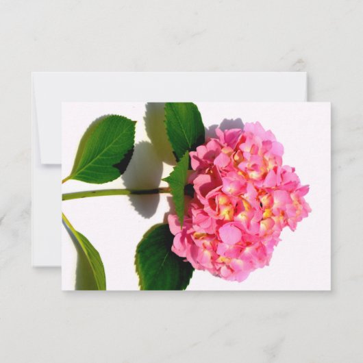 Roze hydrangea roze florroze bloem save the date (Achterkant)