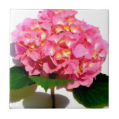 Roze hydrangea roze florroze bloem tegeltje (Voorkant)