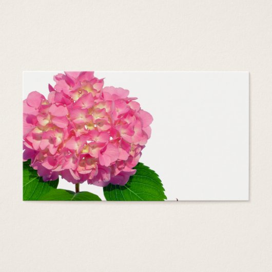 Roze hydrangea roze florroze bloem visitekaartje (Voorkant)