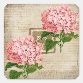 Roze Hydrangea Trossen II Vierkante Sticker