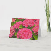 Roze Hydrangea Tuin Bloem Kunstkaart Kaart (Voorkant)