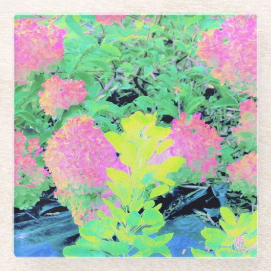 Roze hydrangea Tuin met gele vulling Glazen Onderzetter (Voorkant)