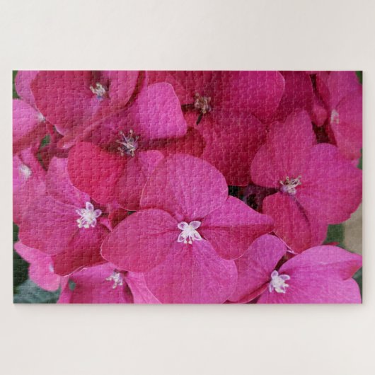Roze Hydrangeabloem Puzzel (Horizontaal)