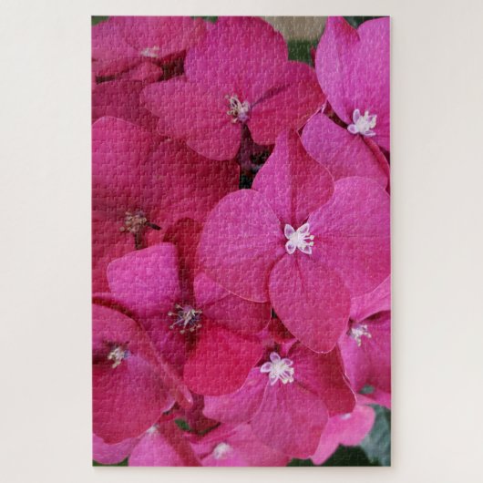 Roze Hydrangeabloem Puzzel (Verticaal)