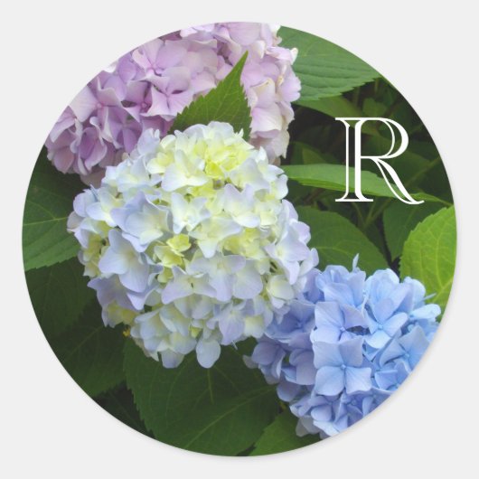 Roze hydrangeas, blauwe hydrangeas, groene hydrang ronde sticker (Voorkant)
