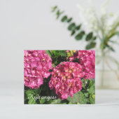 Roze hydrangeas briefkaart (Staand voorkant)