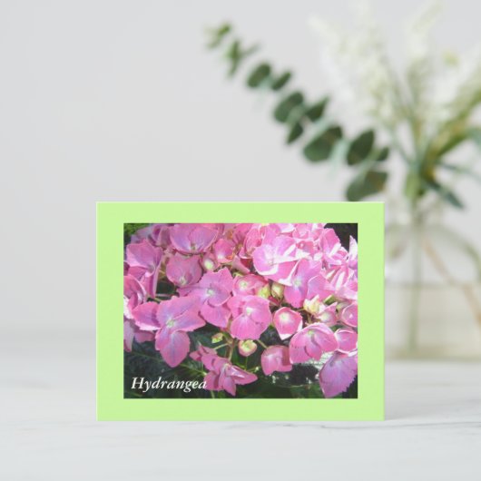 Roze hydrangeas briefkaart (Staand voorkant)