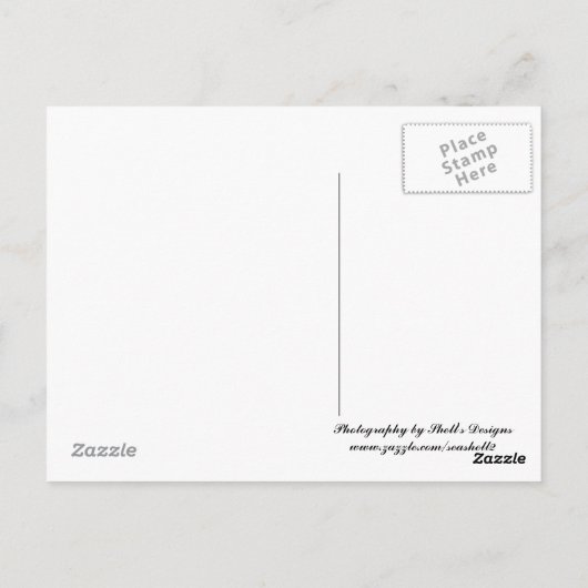 Roze hydrangeas briefkaart (Achterkant)