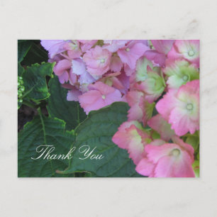 Roze Hydrangea's Briefkaart