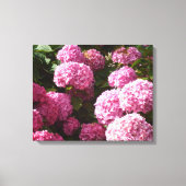 Roze hydrangeas canvas afdruk (Voorkant)