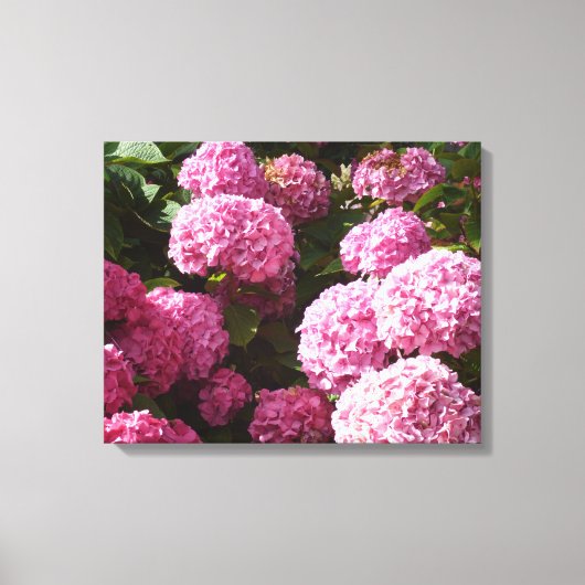 Roze hydrangeas canvas afdruk (Voorkant)