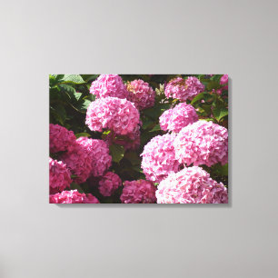 Roze hydrangeas canvas afdruk