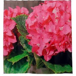 Roze hydrangeas douchegordijn