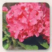 Roze Hydrangea's Drankjes Onderzetter (Voorkant)