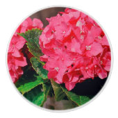Roze hydrangeas keramische knop (Voorkant)