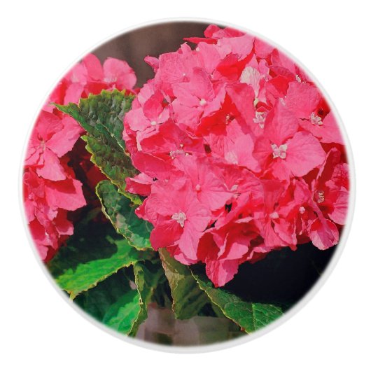 Roze hydrangeas keramische knop (Voorkant)