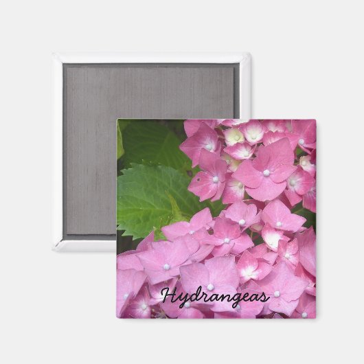Roze hydrangeas magneet (Voorkant / Achterkant)