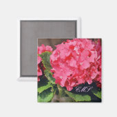 Roze hydrangeas magneet (Voorkant / Achterkant)