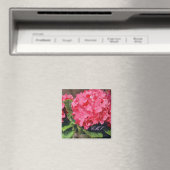 Roze hydrangeas magneet (Insitu (Vaatwasser))