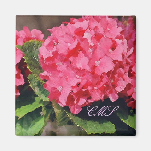 Roze hydrangeas magneet (Voorkant)