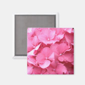 Roze Hydrangeas Magnet (Voorkant / Achterkant)