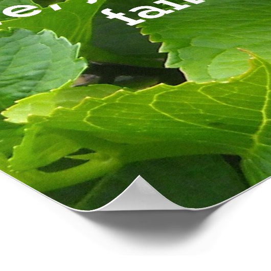 Roze hydrangeas met schroefdraad poster (Hoek)