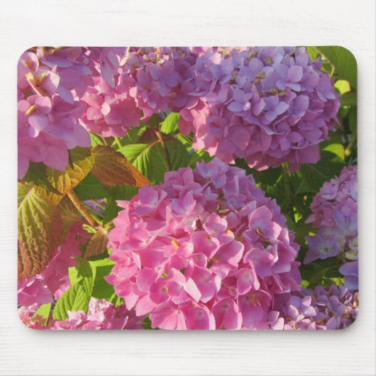 Roze hydrangeas muismat (Voorkant)