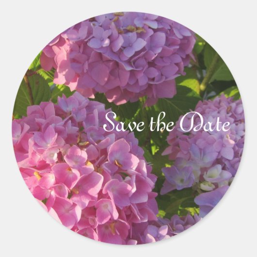 Roze hydrangeas ronde sticker (Voorkant)