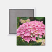 Roze hydrangebloemen magneet (Voorkant / Achterkant)