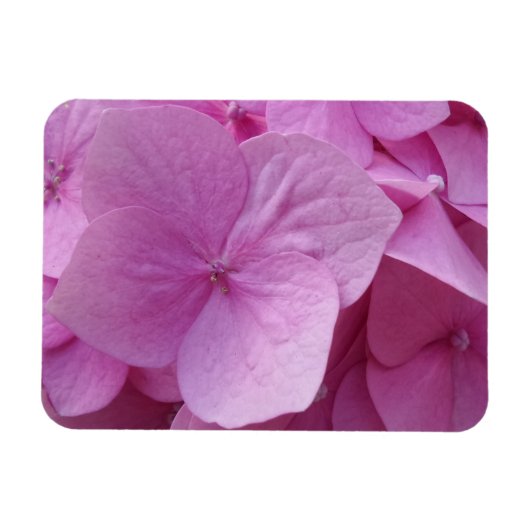 Roze hydrangeenventilator 3"x4" magneet (Horizontaal)