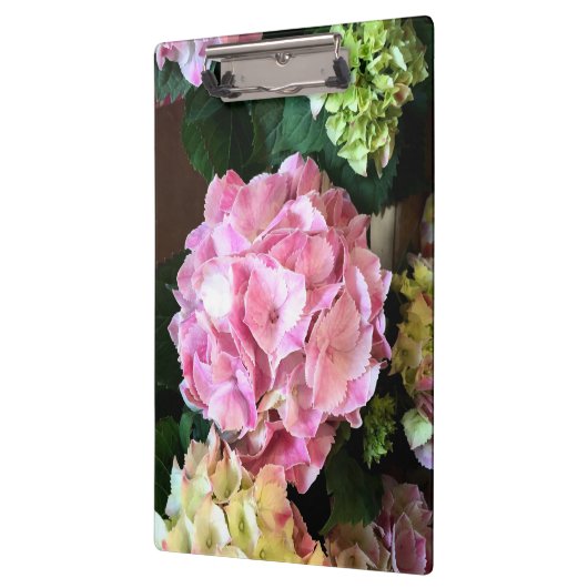  roze Hygrangea Klembord (Links)