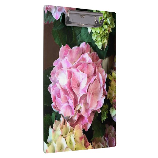 roze Hygrangea Klembord (Rechts)