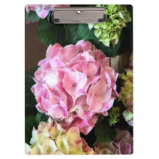  roze Hygrangea Klembord (Voorkant)