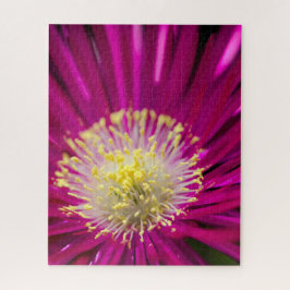 Roze ijsbloem legpuzzel