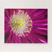 Roze ijsbloem legpuzzel (Horizontaal)