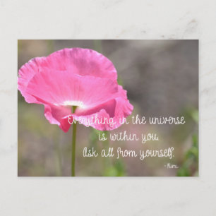 Roze IJsland Poppy Flower Briefkaart