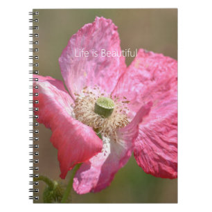 Roze IJslandse Papaver Bloem (mijn fotografie) Notitieboek