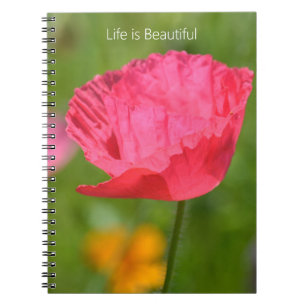 Roze IJslandse Papaver Bloementuin (mijn fotografi Notitieboek