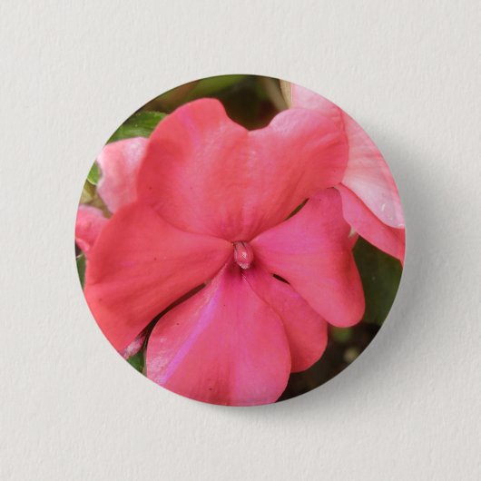 Roze imatiens Bloem Macro Button (Voorkant)