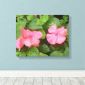 Roze Impatiens Bloemen Canvasprint Canvas Afdruk (Insitu (Houten vloer))