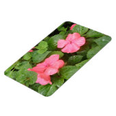 Roze Impatiens Bloemen Premium Magnet Magneet (Linkerzijde)
